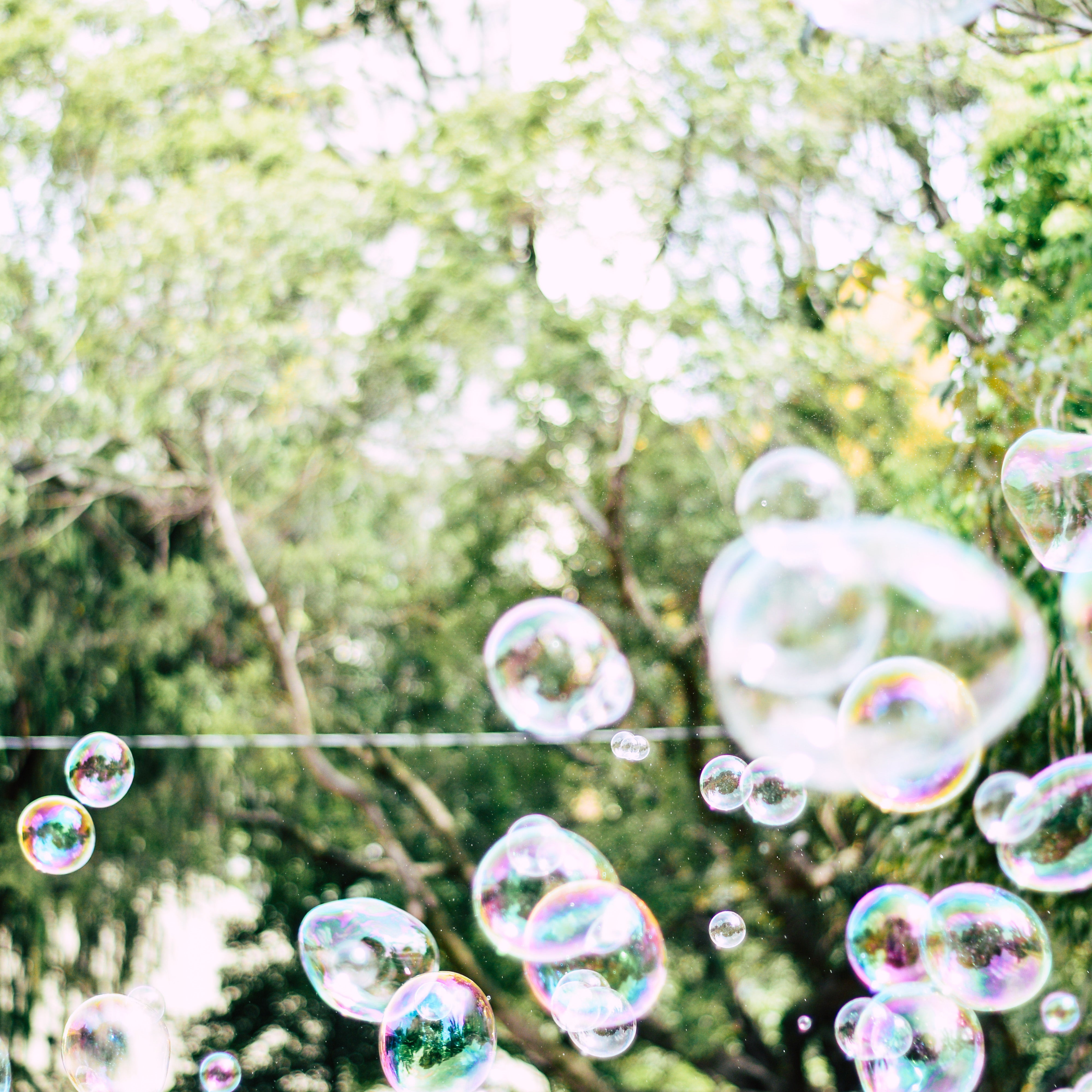 Our Bubble
