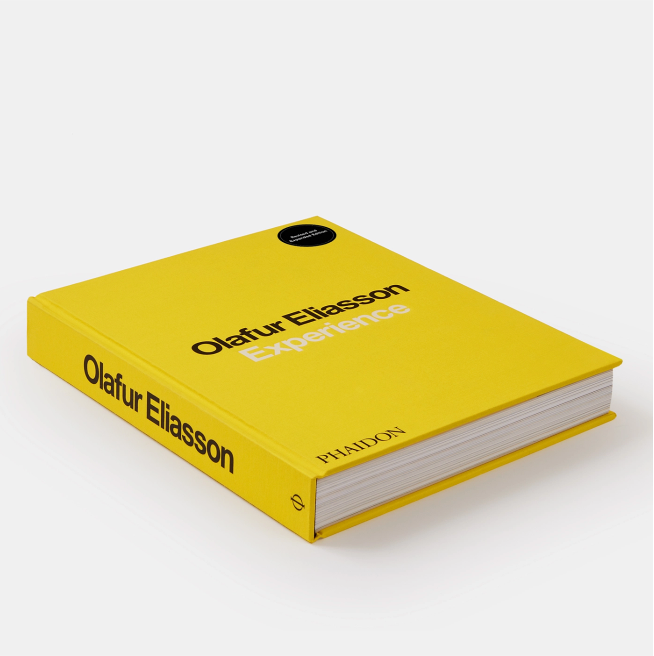 Olafur Eliasson: Experience