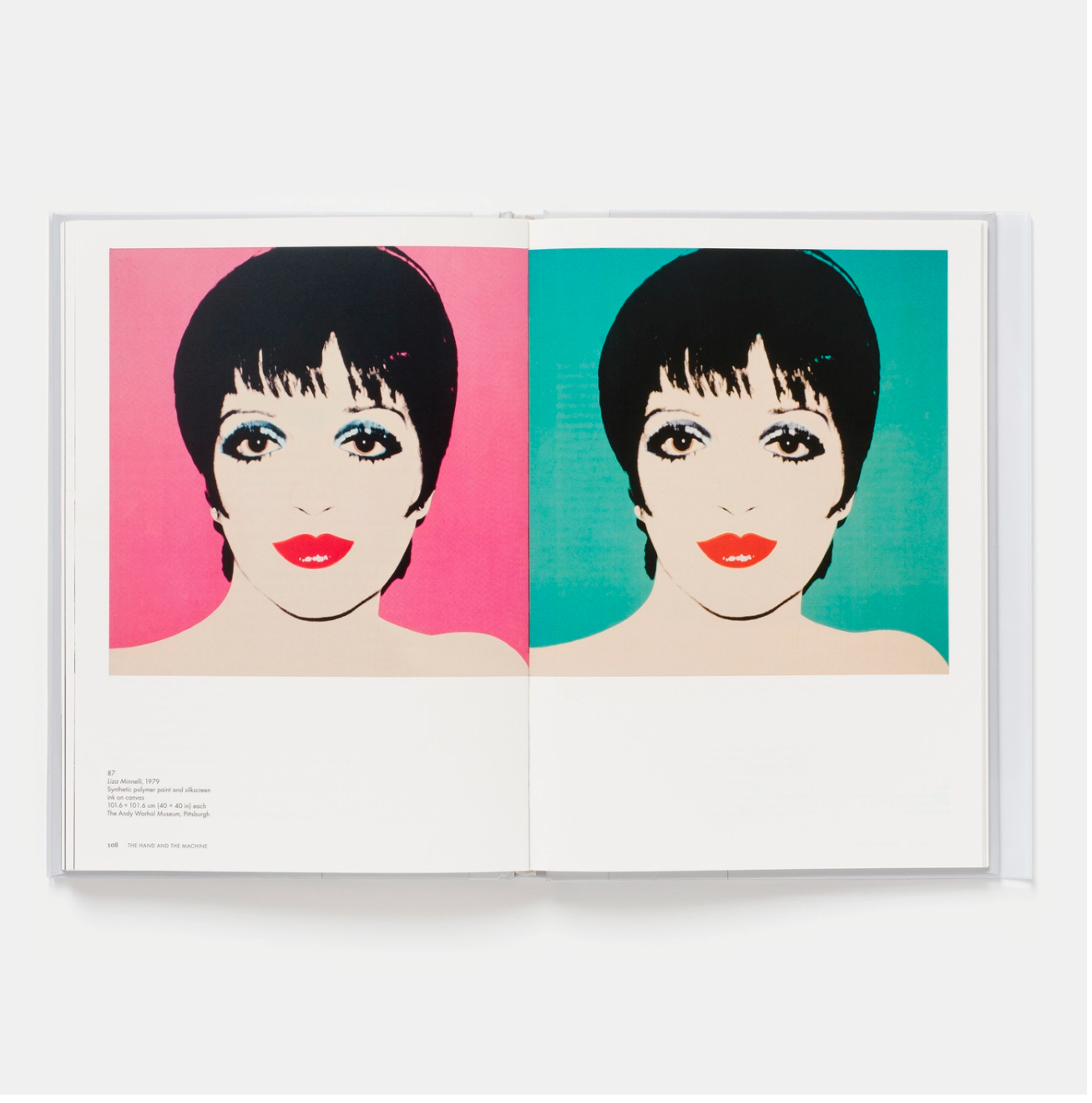 Andy Warhol: Phaidon Focus