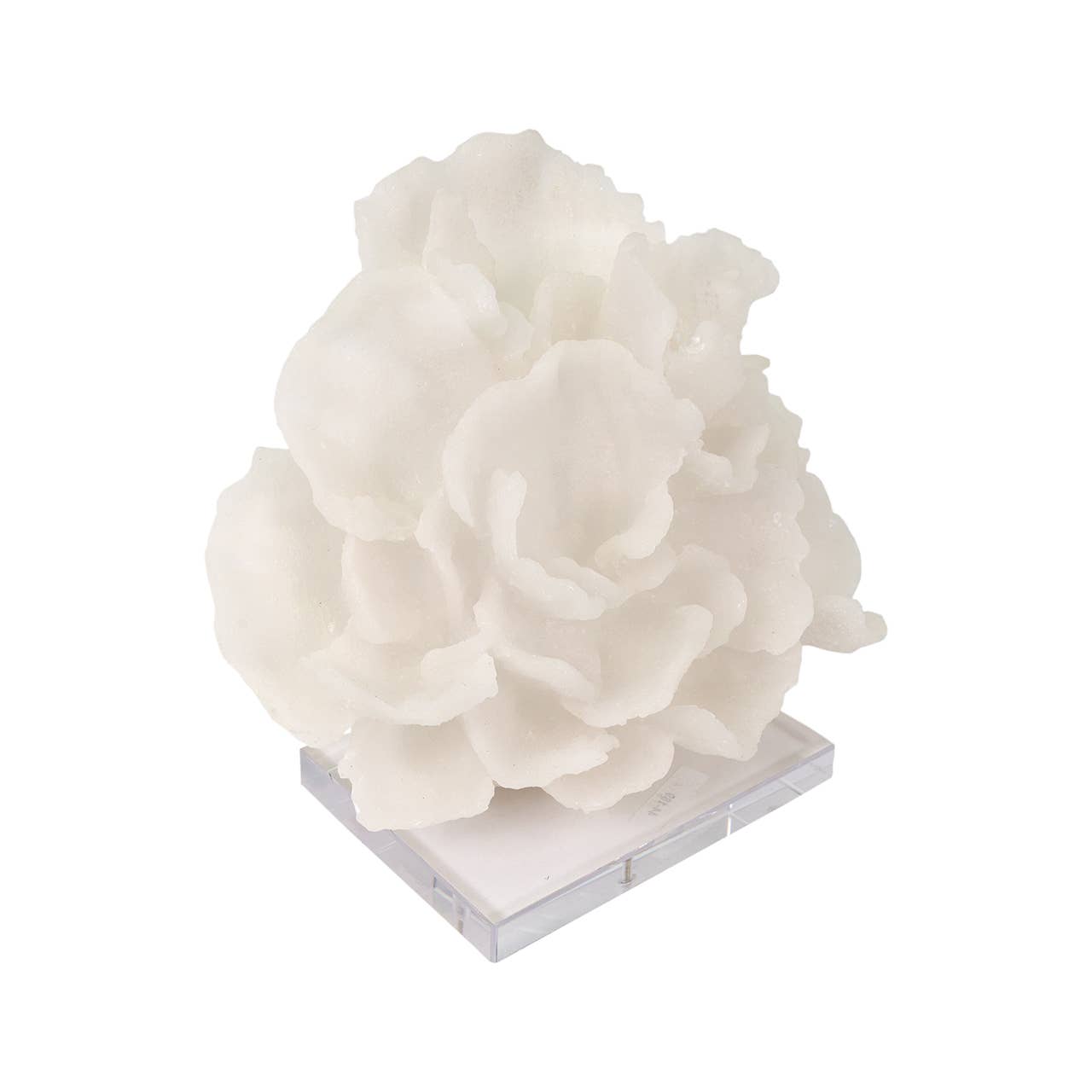 Cozumel Coral Sculpture