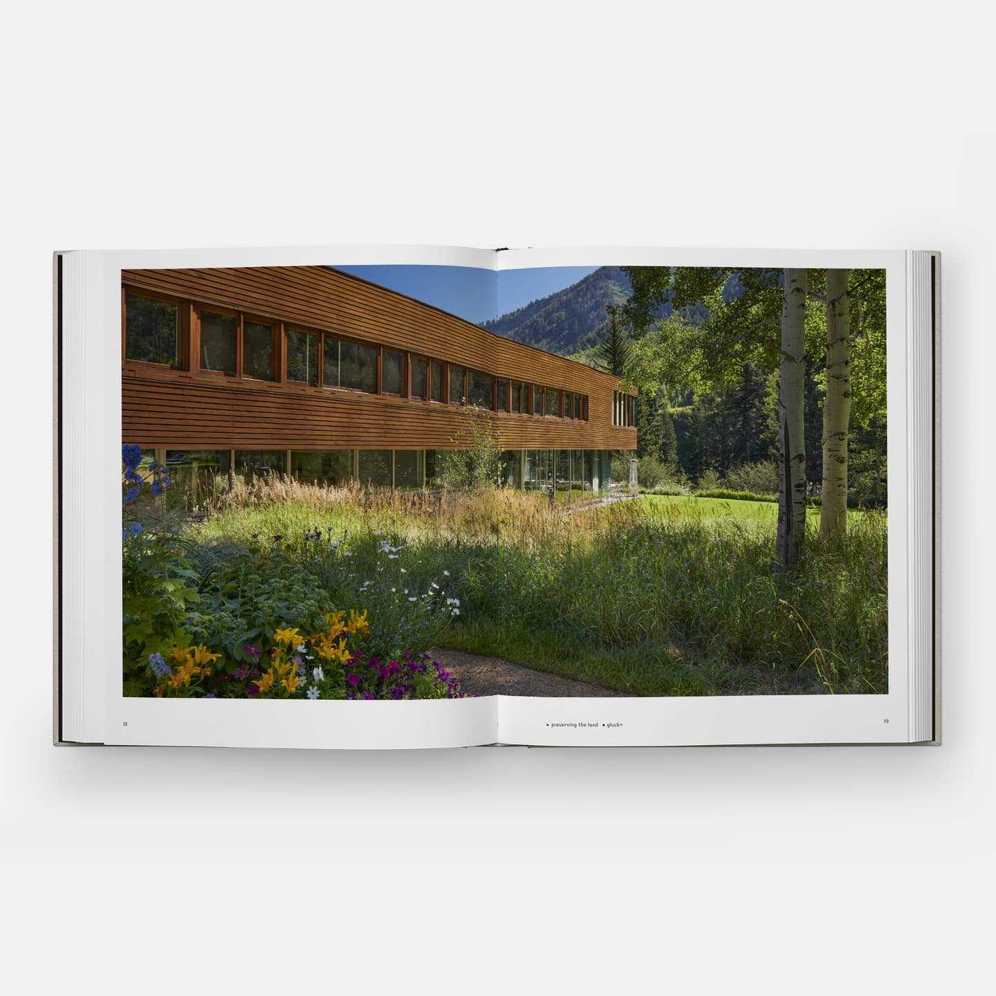 Private Aspen Modernism in the Mountains