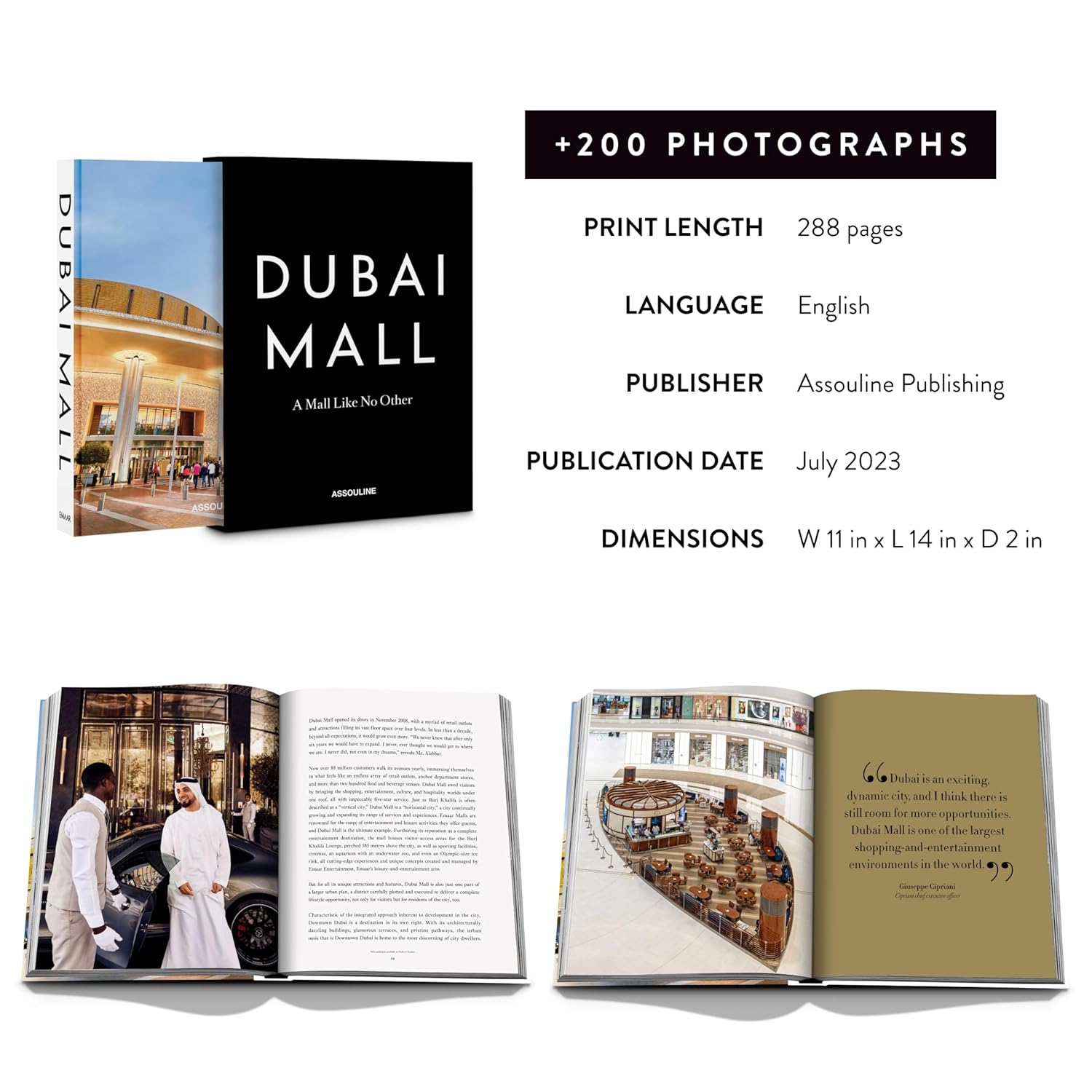 Dubai Mall: A Mall Like No Other