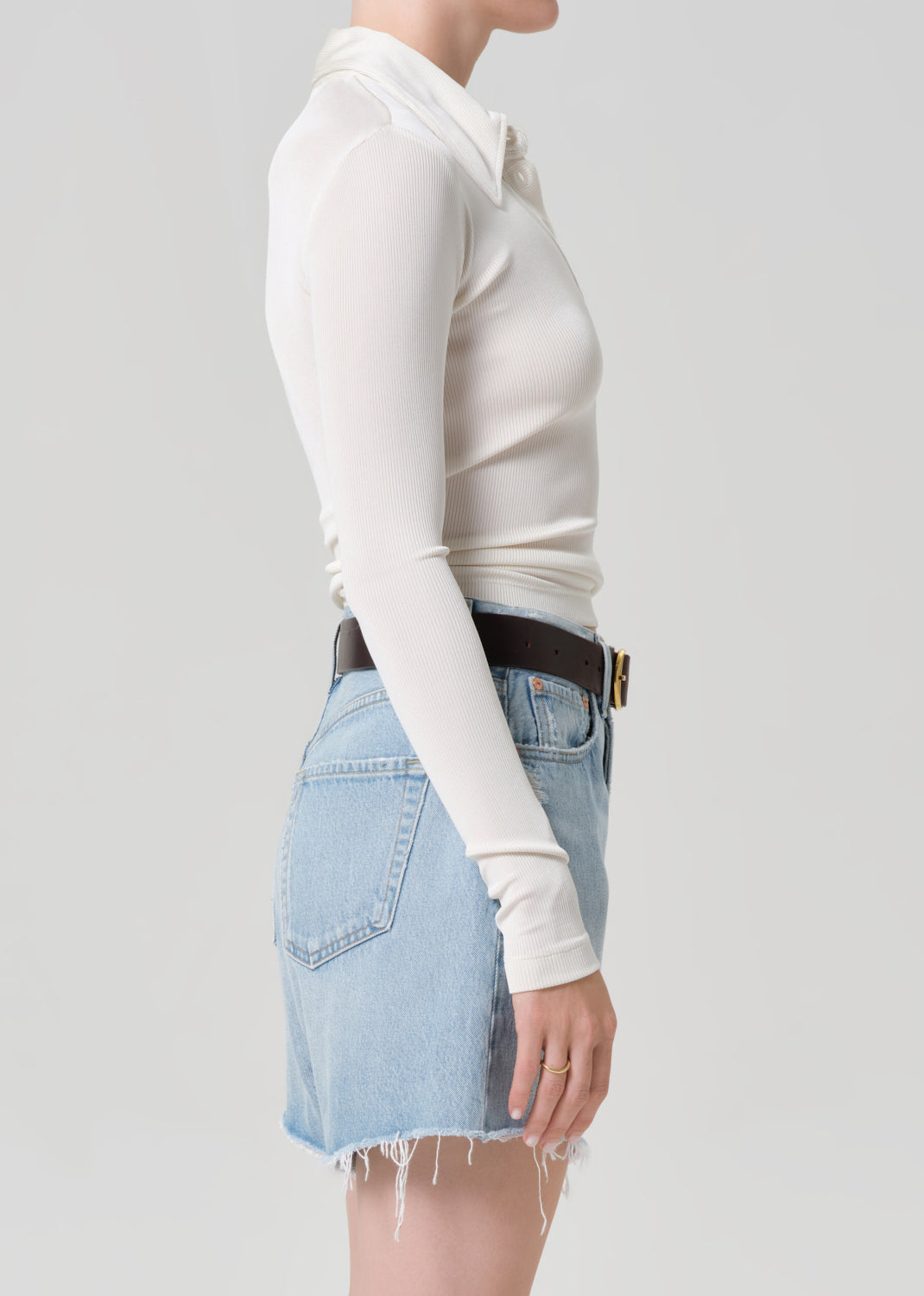 Shaea Polo Pashmina