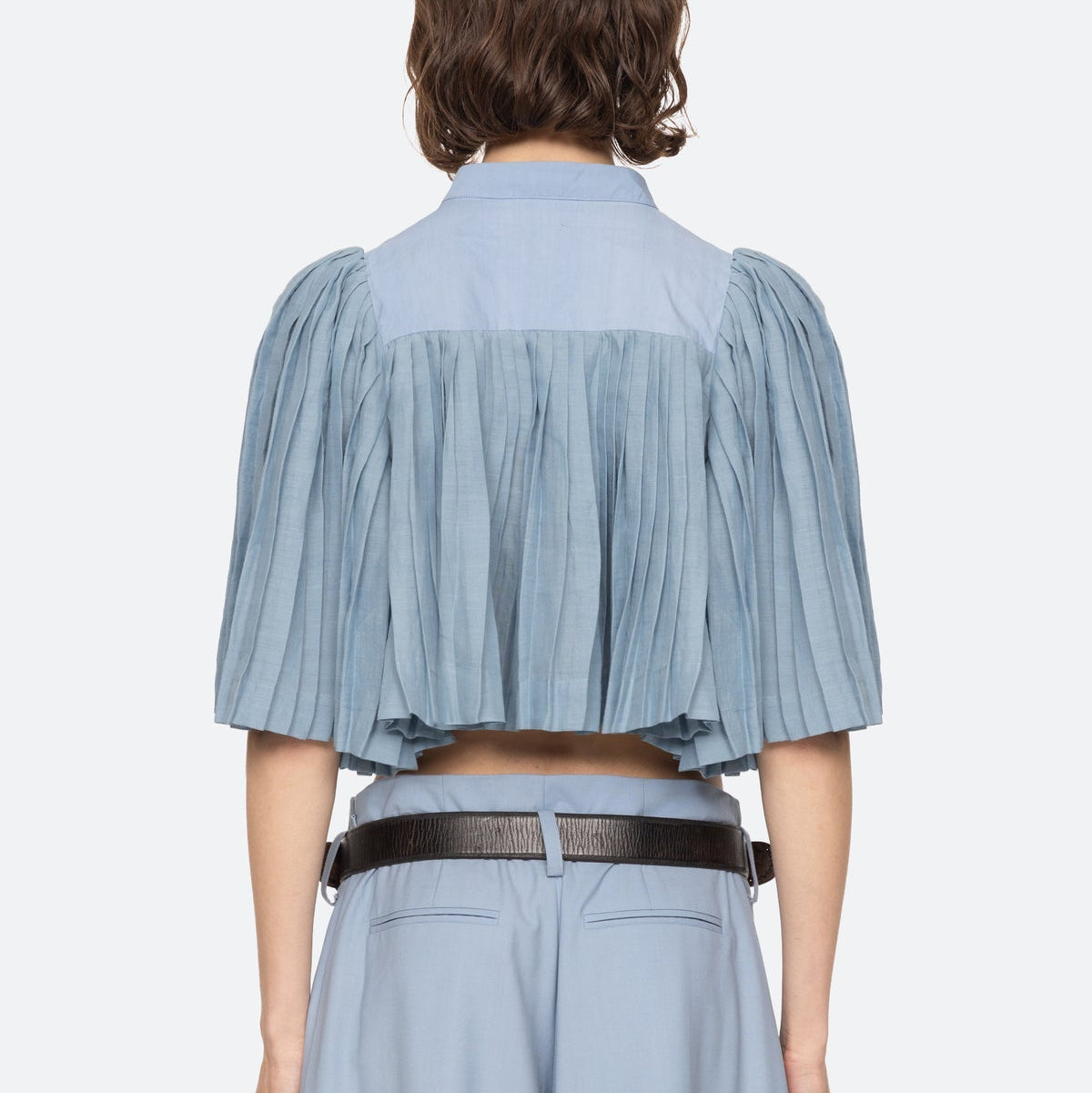 Solene Pleated S/Slv Top Blue