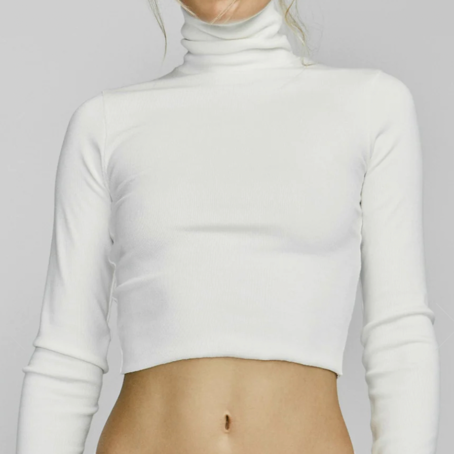 White turtleneck long sales sleeve crop top