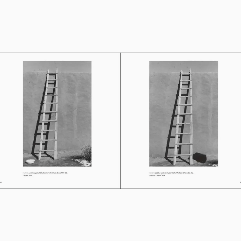 Georgia O'keeffe Photographer